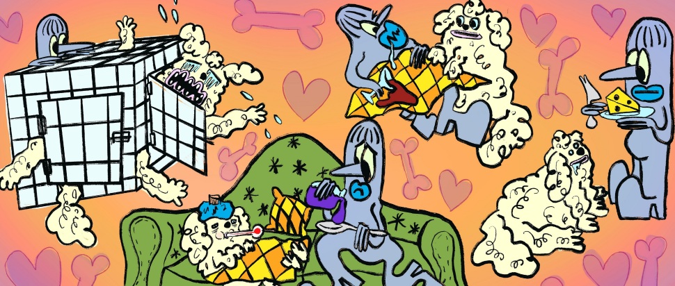 Canine Days_ Accountability & reflection in making an attempt occasions